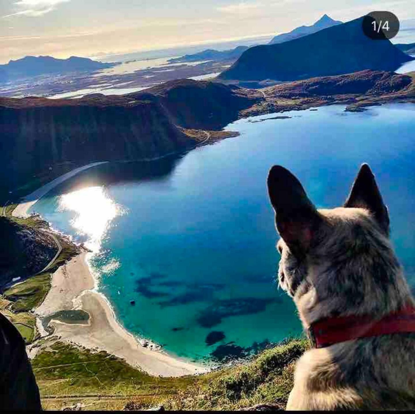 Lofoten Seaview バルスタ エクステリア 写真