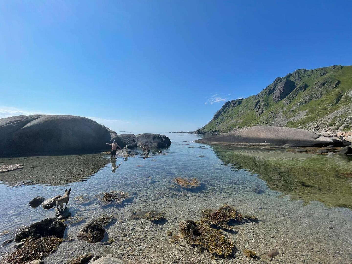Lofoten Seaview バルスタ エクステリア 写真